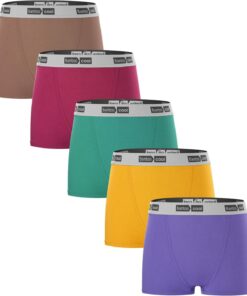 BAMBOO COOL Womens Bamboo Boxer Briefs Underwear Soft Stretch Boy Shorts Panties for Women